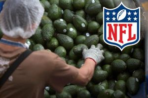 Super Bowl: Aumentó exportación de Aguacate a Estados Unidos para el Súper Tazón LV