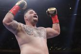 Eddy Reynoso: 'Andy Ruiz va a noquear a Anthony Joshua'