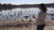 Lago de Guadalupe y Espejo de los Lirios, en el colapso y a la deriva