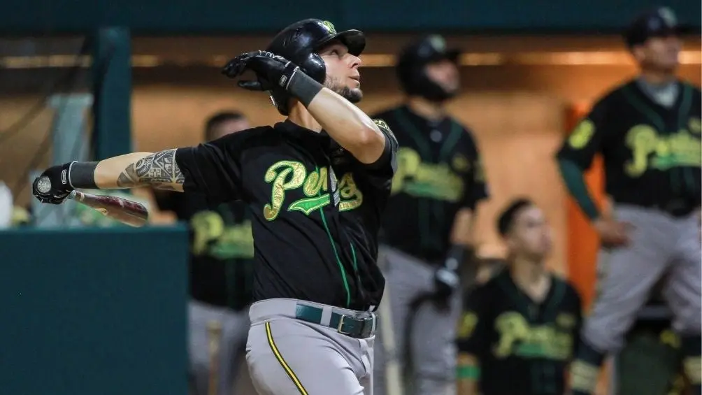 Pelotero de Pericos durante un partido