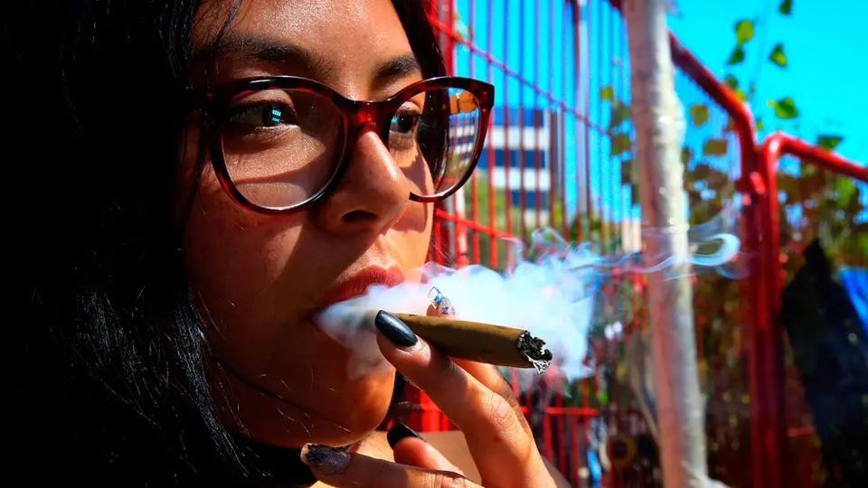 Cámara de Diputados aprobó la legalización de la Marihuana para fines recreativos