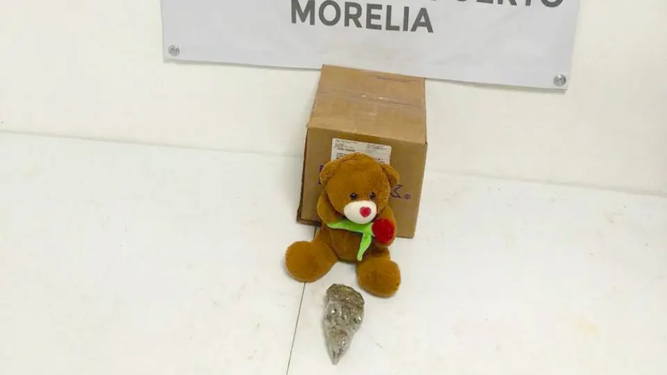 Guardia Nacional: Decomisó peluche con marihuana en Michoacán