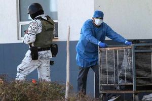 México alcanzó 2 millones 224 mil 767 infectados de coronavirus; muertes ascienden a 201 mil 429