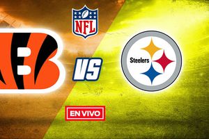 NFL EN VIVO: Cincinnati Bengals vs Pittsburgh Steelers Semana 10