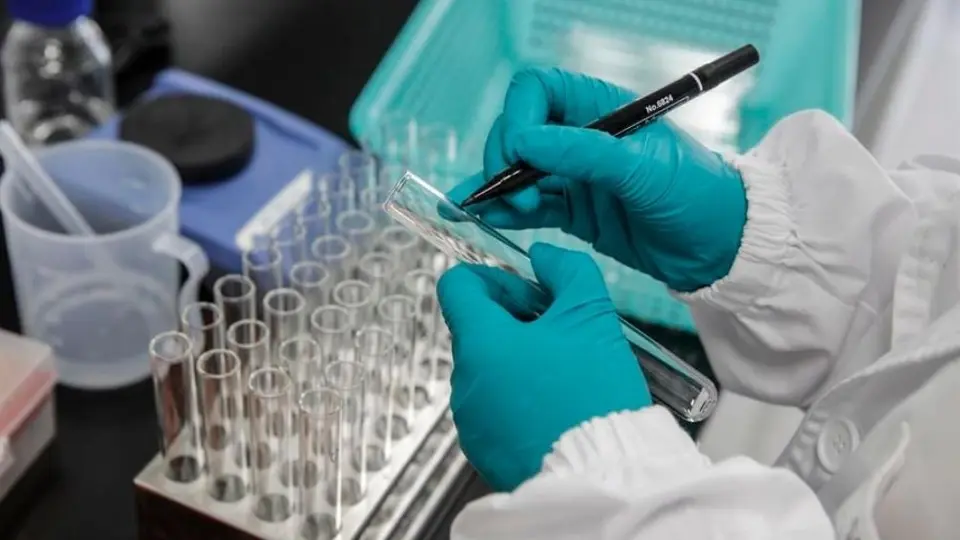 Coronavirus: España comenzará a aplicar la vacuna a su población en enero