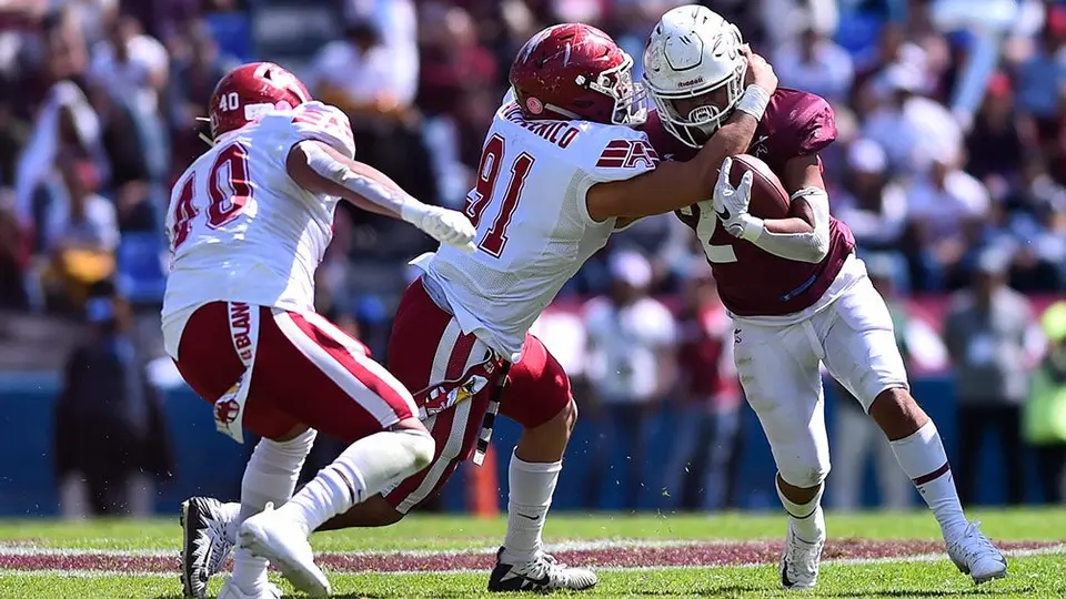 Onefa canceló la temporada 2020 de la Liga Mayor