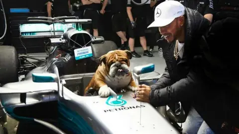 Hamilton presumió a su perro 'Roscoe' previo al GP de Turquía