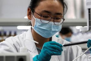 Coronavirus: Se cumple un año desde que se presentó el primer caso de Covid-19