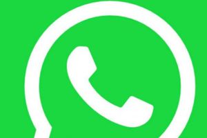 Whatsapp: Stickers animados sufrirán cambios a un par de meses de su habilitación