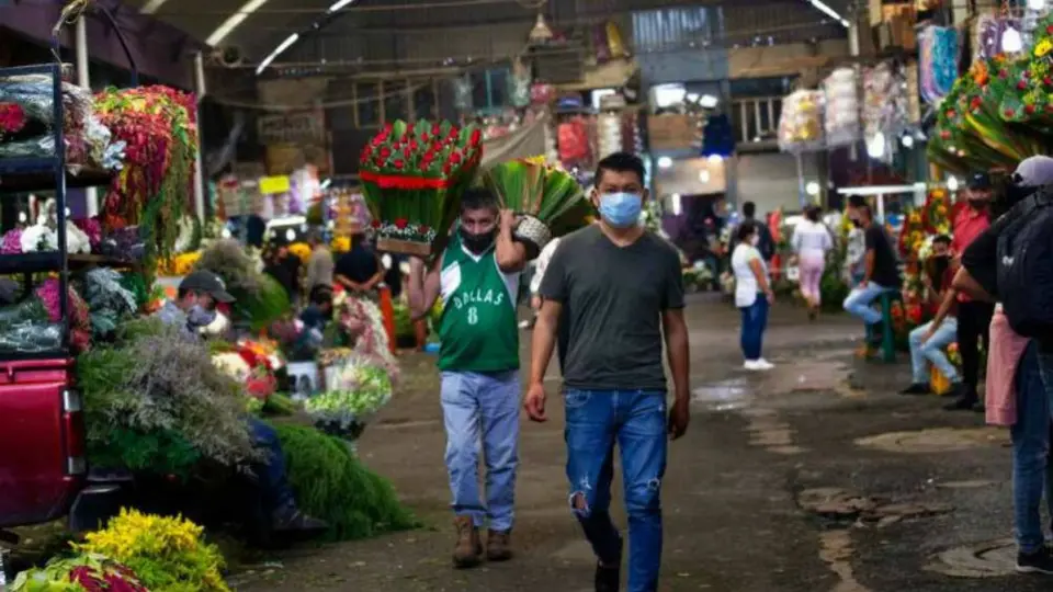 Coronavirus: Pimienta negra podría emplearse para combatir el Covid-19