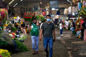 Coronavirus: Pimienta negra podría emplearse para combatir el Covid-19