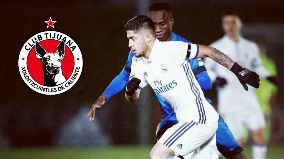 Sergio Díaz: Xolos, el otro club que se interesó en el nuevo refuerzo del América
