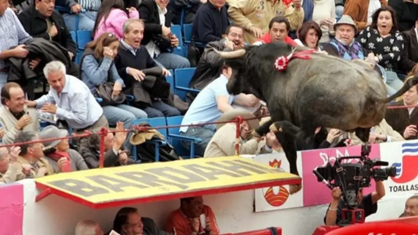 José Ramón Fernández presumió un cuadro de 'Pajarito', el toro que saltó barrera en la México