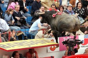 José Ramón Fernández presumió un cuadro de 'Pajarito', el toro que saltó barrera en la México