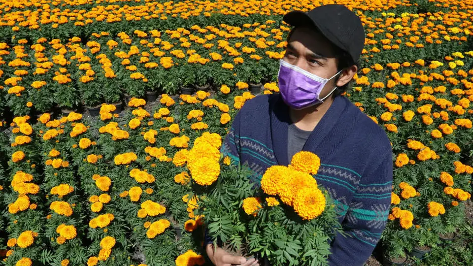 México alcanzó 814 mil 328 infectados de coronavirus; muertes ascienden a 83 mil 642