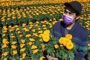 México alcanzó 814 mil 328 infectados de coronavirus; muertes ascienden a 83 mil 642