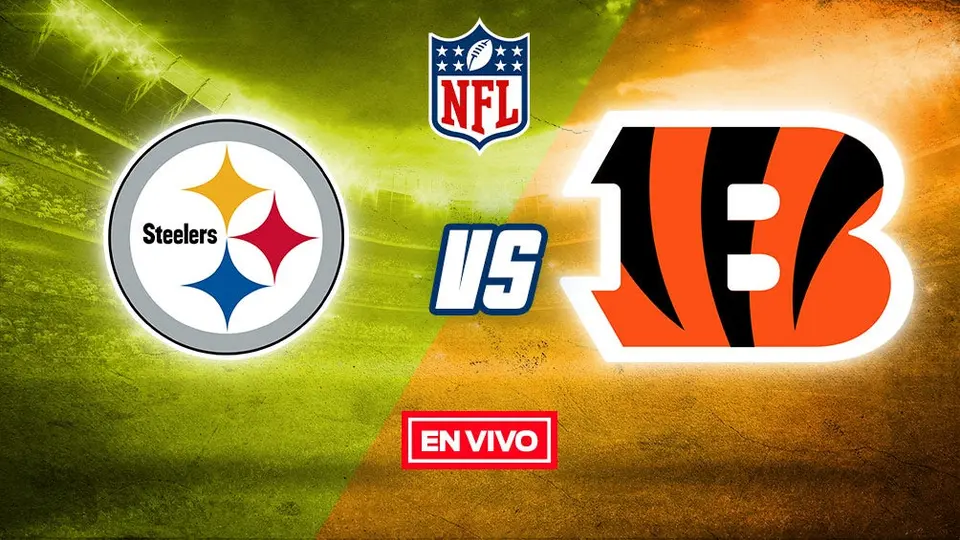 NFL EN VIVO: Pittsburgh Steelers vs Cincinnati Bengals Semana 15