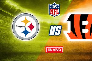 NFL EN VIVO: Pittsburgh Steelers vs Cincinnati Bengals Semana 15
