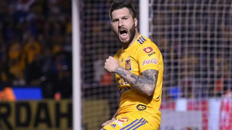 Tigres: Los Felinos confirmaron que no tienen casos positivos por Covid-19