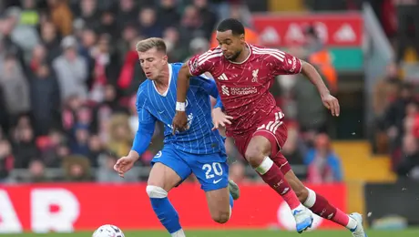 Liverpool vence al Brighton y consigue su cuarta victoria consecutiva