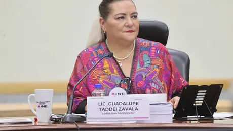 Guadalupe Taddei anuncia su renuncia al INE en medio de polémica por contratos