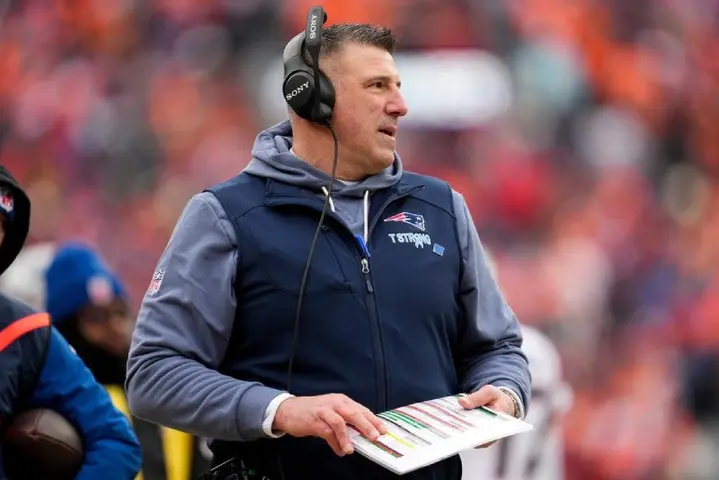 Mike Vrabel | AP