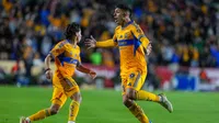 ¿Por qué Tigres realizó mediciones físicas?