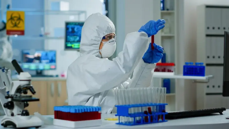 Virus Nipah: qué es, cómo se contagia, síntomas y por qué preocupa a la OMS