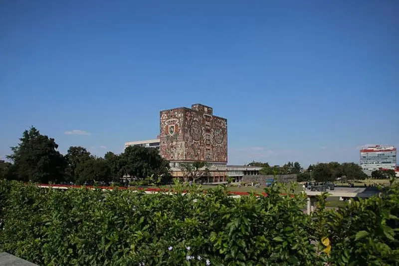 Diferentes escuelas y facultadas de la UNAM tendrán campañas de vacunación. / iStock