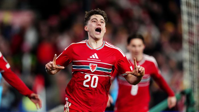 Daniel James en celebración en su gol en el partido de Gales contra Bosnia y Herzegovina | AP