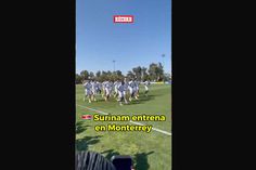 Surinam Ya Se Prepara En Monterrey
