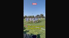 Surinam Ya Se Prepara En Monterrey