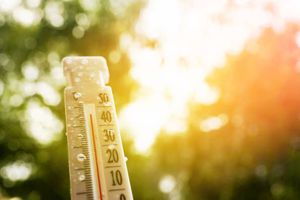 Canícula 2026 en México: estos estados podrían superar los 45 grados de temperatura