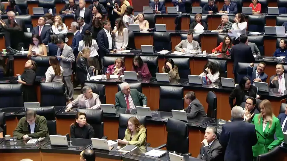 El Senado aprobó los cambios en la reforma electoral dejando de lado la revocación de mandato / Especial