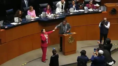 VIDEO: Saúl Monreal encara a Lilly Téllez en el Senado tras acusación de “narcopolítico”