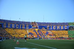 ¡Leyenda por siempre! El Volcán se despidió de André-Pierre Gignac