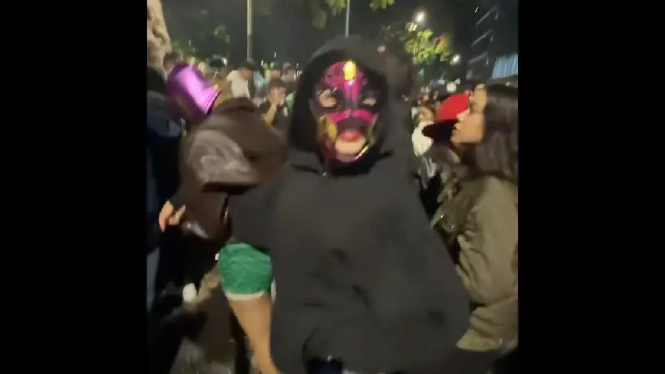 La cantante se puso una máscara de luchador para que nadie la reconociera / Especial