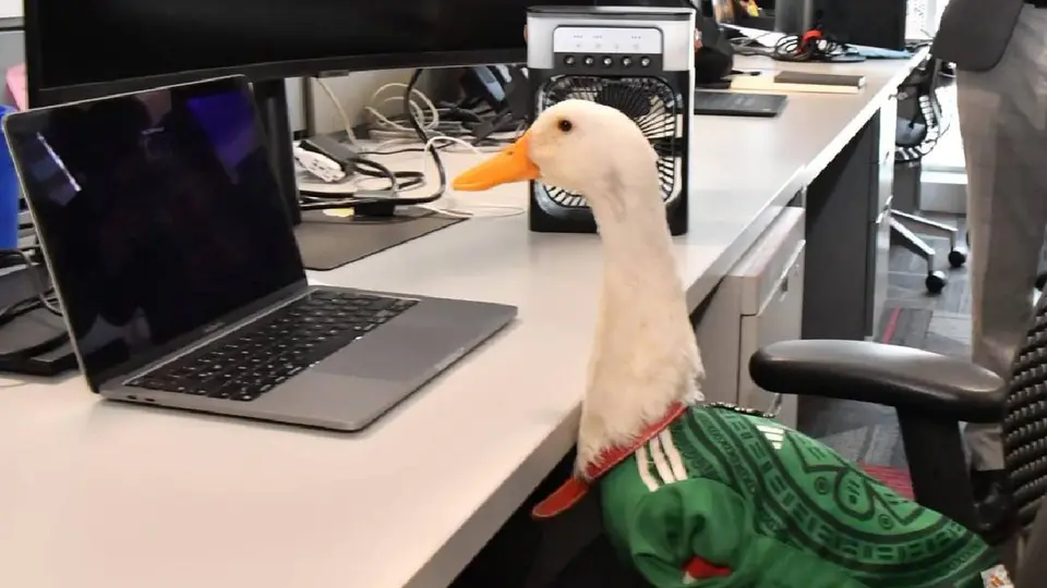 La Secretaría de Economía anuncia el registro de marca del Pato Merlín