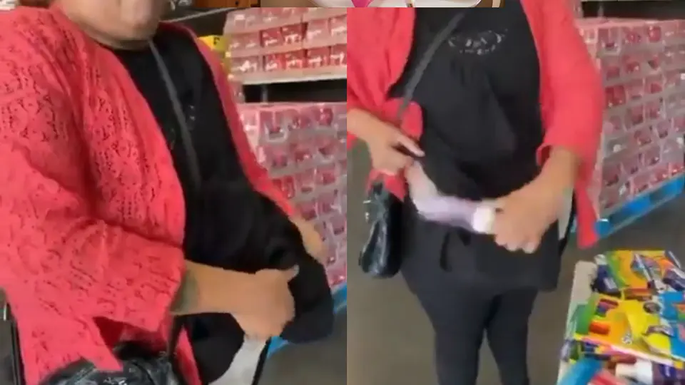 Útiles escolares fueron encontrados entre los productos que la mujer llevaba ocultos entre sus prendas. / Redes