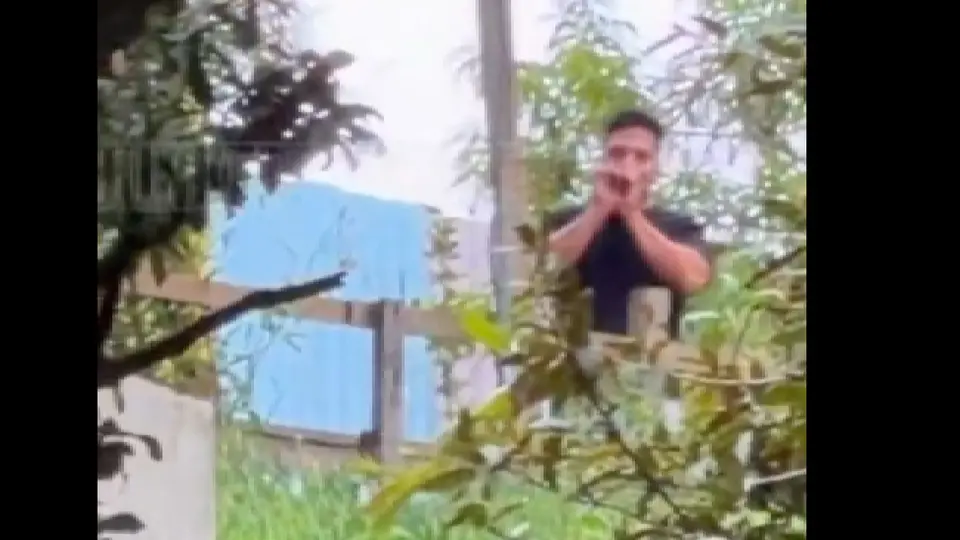 Hasta el momento no se sabe si tendrán algún castigo por estar en contacto con la gente del exterior / Especial