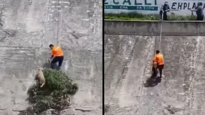 VIDEO: Hombre arriesga su vida para salvar a perrito en canal de aguas negras en Edomex