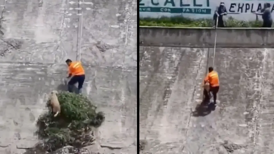 VIDEO: Hombre arriesga su vida para salvar a perrito en canal de aguas negras en Edomex