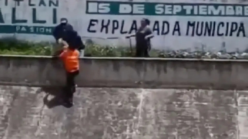 Tanto el hombre como el perrito quedaron a salvo / Especial