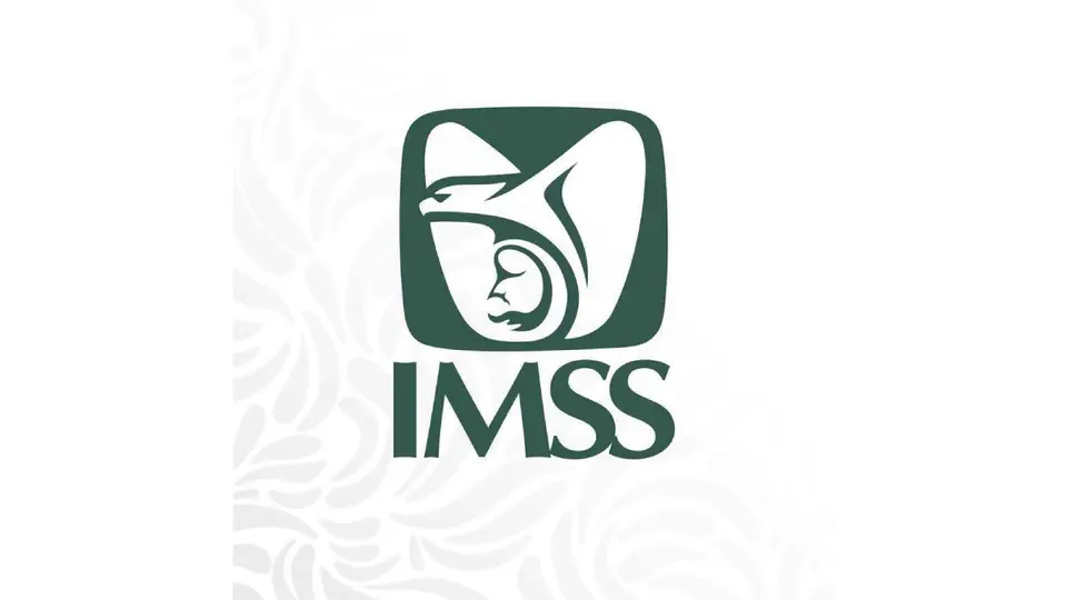 El IMSS indicó que proporcionará apoyo psicológico, médico y jurídico a las dos familias / Especial