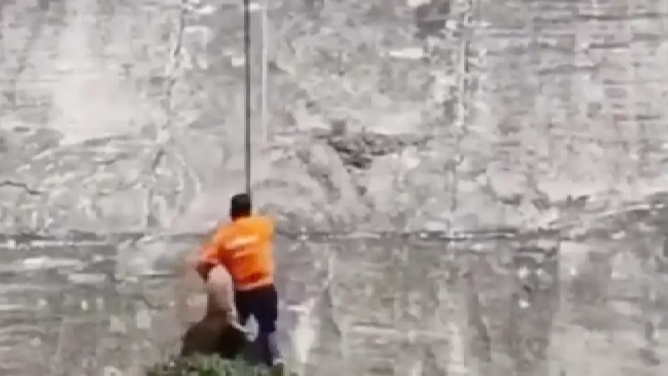 Desde la parte superior, otras personas permanecían pendientes del rescate / Especial