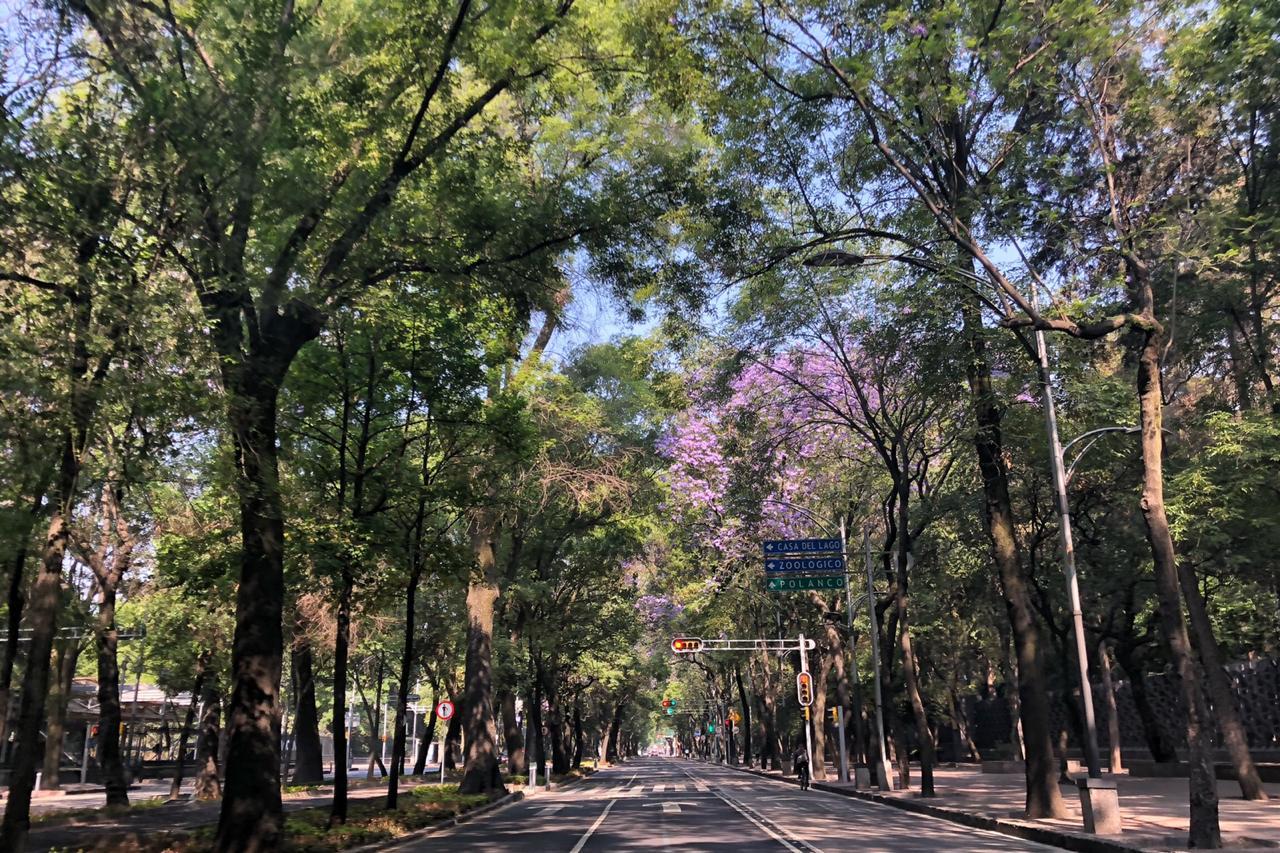 Así luce la CDMX en la cuarentena