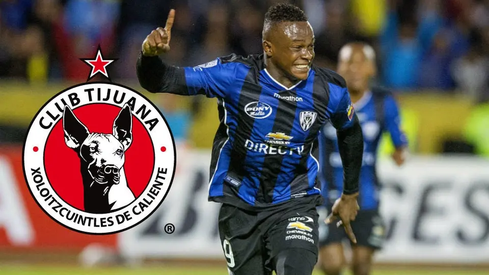Tijuana: José Angulo, primer refuerzo de Xolos para el Apertura 2020