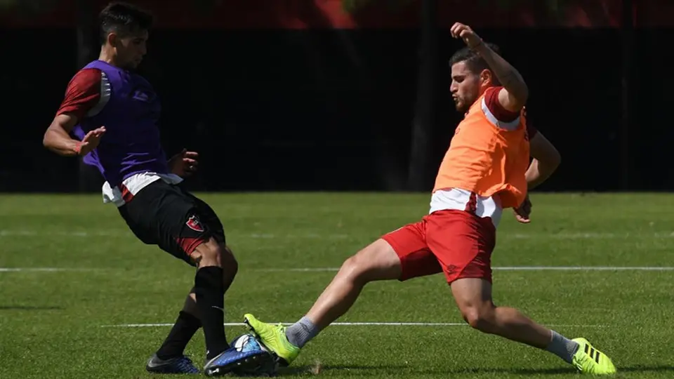 Una iguana y un perro interrumpieron un partido amistoso de Newell's en Argentina