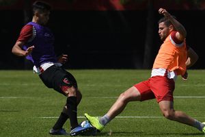 Una iguana y un perro interrumpieron un partido amistoso de Newell's en Argentina