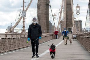 181 mexicanos han muerto por coronavirus en Estados Unidos